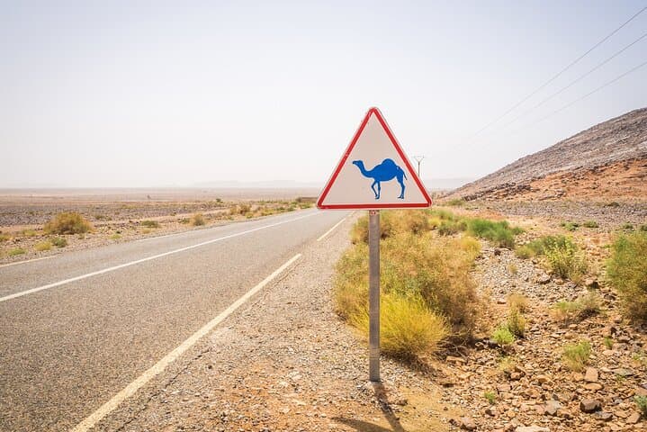 Private 4-Day Agadir to Marrakech via Merzouga Desert Tour photo 6
