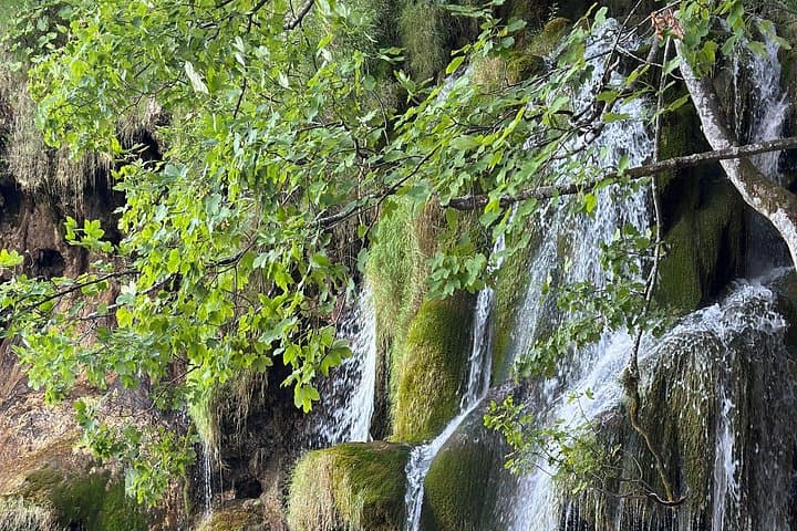 Private Day Trip to Plitvice Lakes from Zadar — Guided Walks, Waterfalls & Wooden Boardwalks photo 4