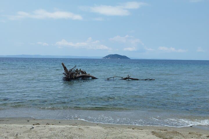 Neos Marmaras Day Trip from Thessaloniki — Beach Time on Sithonia's Coast photo 3
