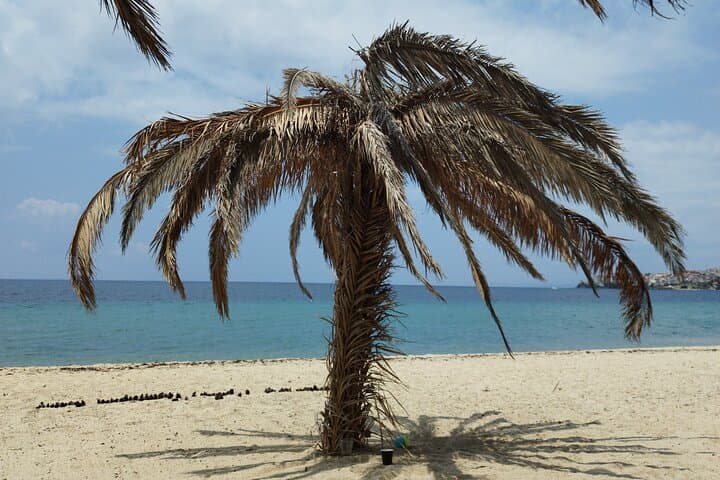 Neos Marmaras Day Trip from Thessaloniki — Beach Time on Sithonia's Coast photo 4