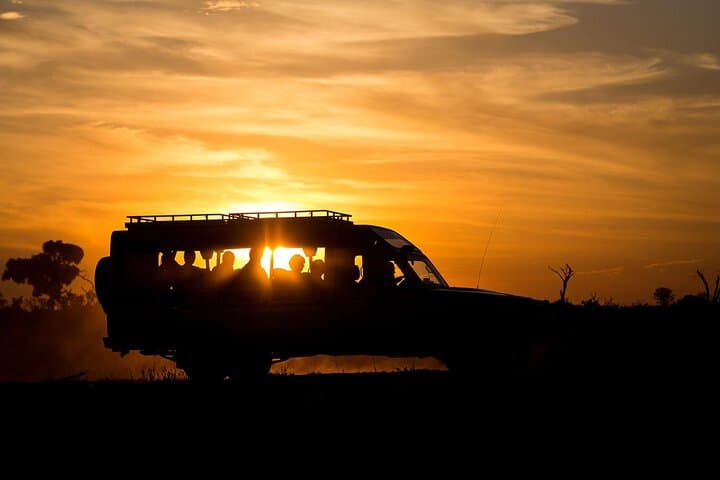 Nairobi National Park Sunset and Night Game Drive: A Unique Urban Safari Experience photo 5