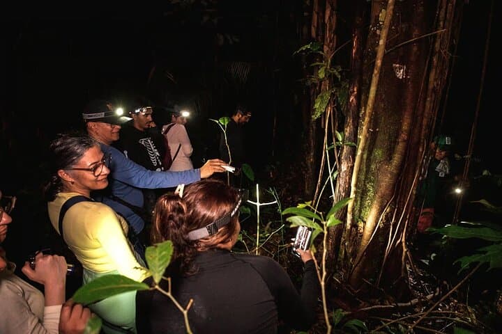 Leticia Jungle Safari: 2-Day Floating House & Night River Safari on the Amazon