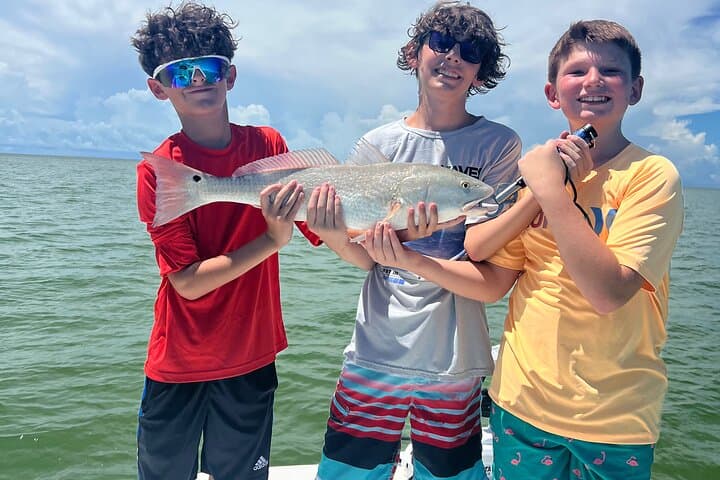 Marco Island 4-Hour Private Combo: Fishing, Shelling & Dolphin Cruise photo 4
