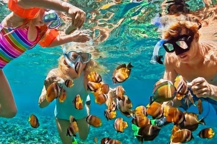 Punta Cana Bavaro Party Boat: Snorkel Reefs, Natural Pool & Open-Bar Cruise photo 5