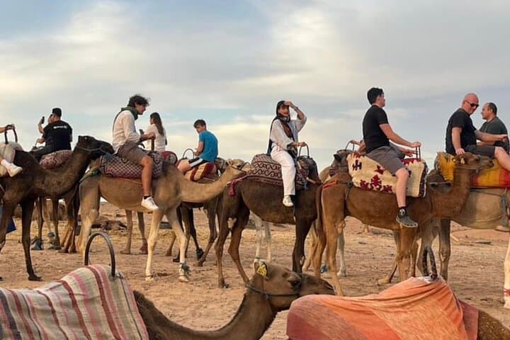 Palmeraie Camel Ride & Quad Biking Near Marrakech — Palm Grove Adventure photo 4