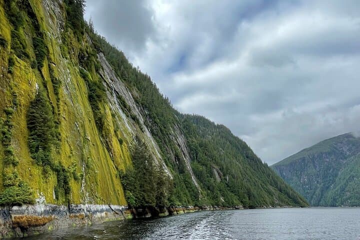 Exploring Alaska’s Misty Fjords: A Wilderness Voyage from Ketchikan photo 5