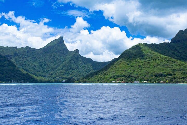 Moorea Private Sea Adventure: Fish with a Local Fisherman photo 4