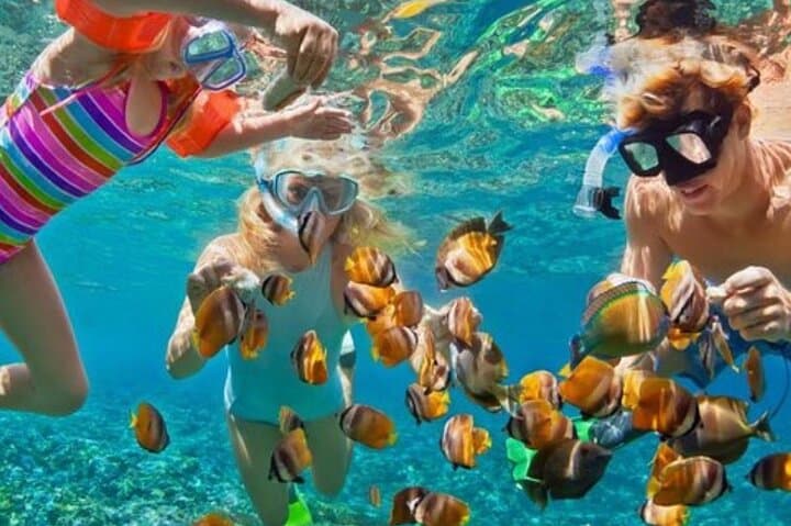 Catalina Island Day Trip: Snorkel, Beach & Buffet from Punta Cana photo 6