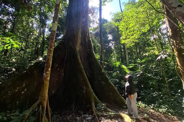 Sunrise Hike in Iquitos' White Sand National Park photo 4