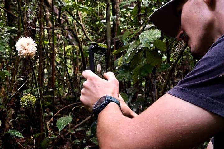 Sunrise Hike in Iquitos' White Sand National Park photo 5
