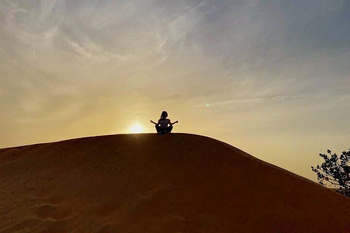 Dubai Red Sand Desert Safari: Evening Dune Drive, Camel Ride & BBQ Dinner photo 6