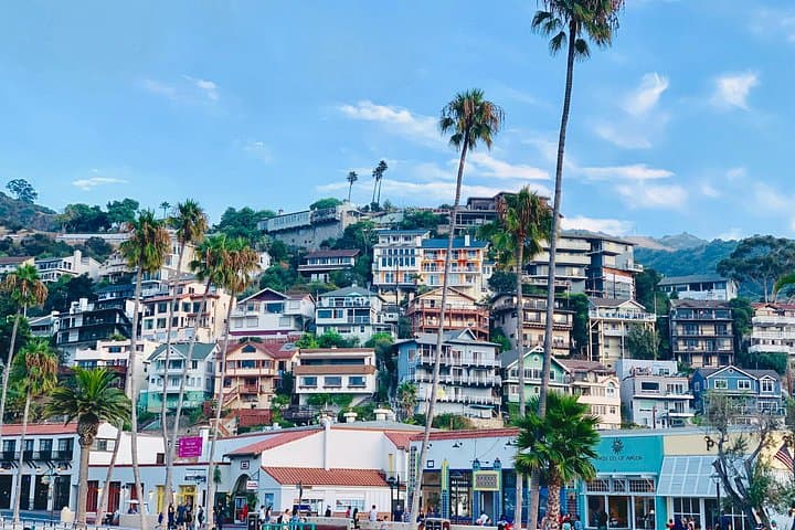 Avalon on Foot: Self-Guided Audio Walking Tour of Catalina Island photo 2