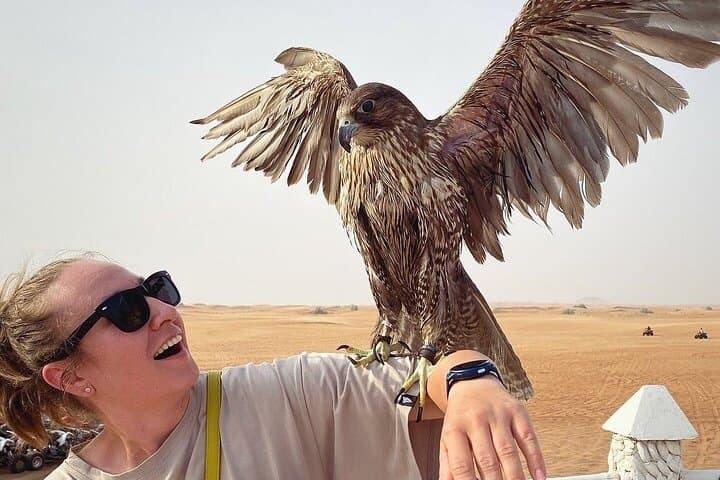 Dubai Red Sand Desert Safari: Evening Dune Drive, Camel Ride & BBQ Dinner photo 3
