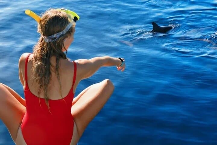 Half-Day Catamaran Sailing & Snorkeling off El Gouna, Red Sea photo 6