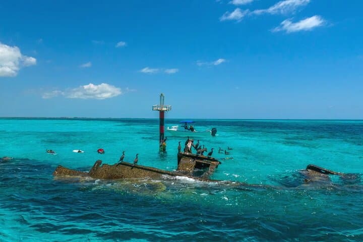 three-stop-snorkel-trip-cancun-reef-seagrass-shipwreck