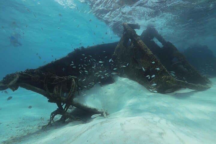 Quick Snorkel in Cancun: Reef, Seagrass and Shipwreck in 3.5 Hours