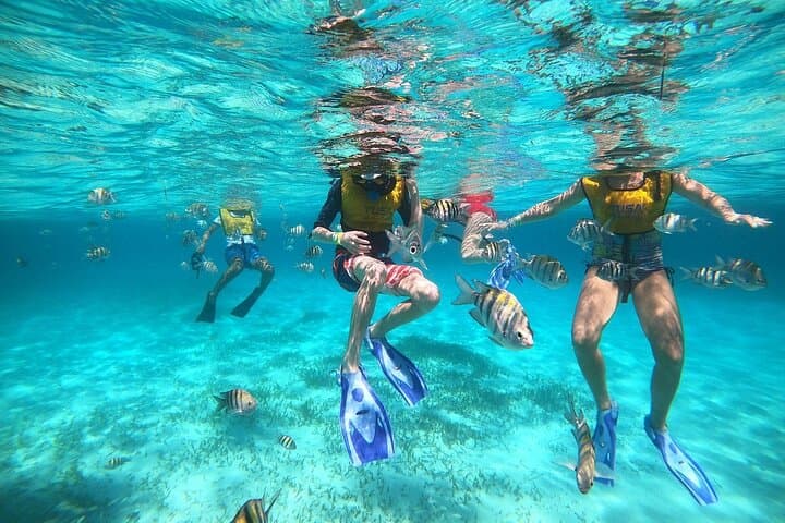 three-stop-snorkel-trip-cancun-reef-seagrass-shipwreck photo 3