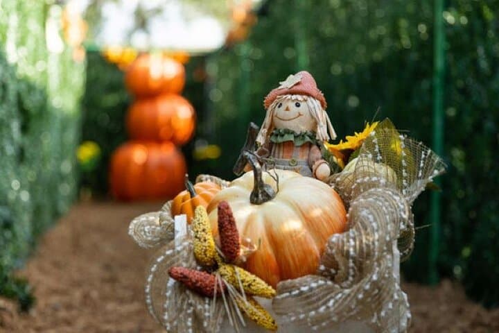 Haunting of River Ranch: Central Florida Haunted Hayride Experience photo 3