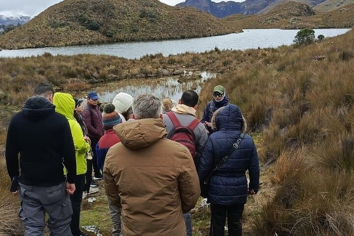 Half-Day El Cajas National Park Tour — Lagoons, Páramo & Local Culture
