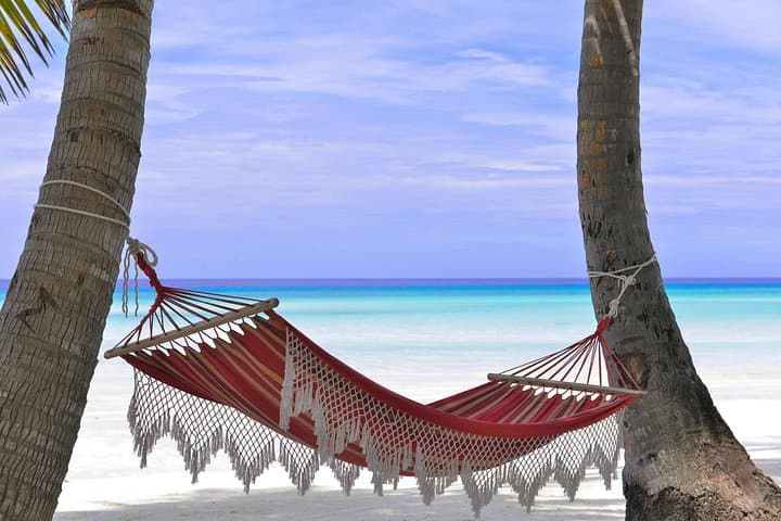 Custom Private Tour of Antigua — Design Your Perfect Island Day photo 4