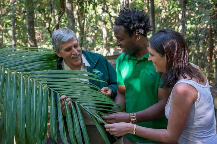 Sea Acres Rainforest Boardwalk: Guided Coastal Rainforest Walk Near Port Macquarie photo 4