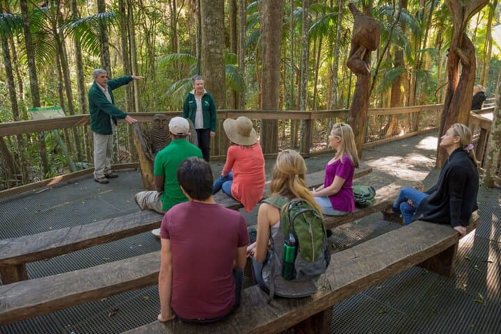 Sea Acres Rainforest Boardwalk: Guided Coastal Rainforest Walk Near Port Macquarie photo 6