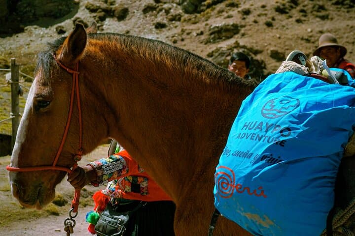 Cuatrimoto Tour to Rainbow Mountain (Vinicunca) — 7 Color Mountain from Cusco photo 6