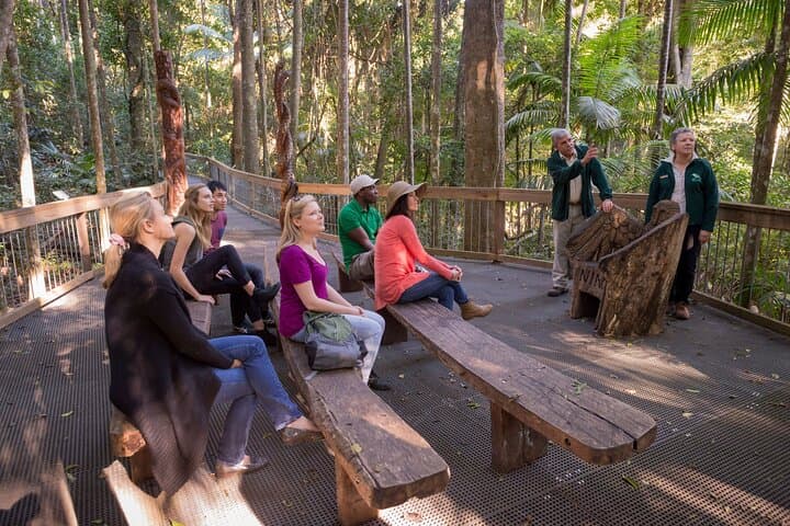 Sea Acres Rainforest Boardwalk: Guided Coastal Rainforest Walk Near Port Macquarie photo 2
