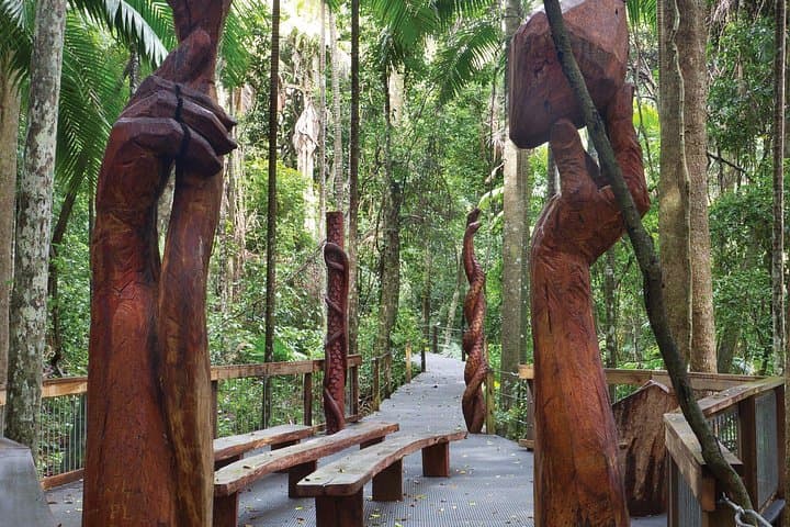Sea Acres Aboriginal Coastal Tour — Rainforest Walk to Shelly Beach