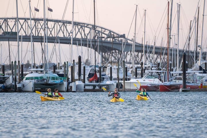 Paddle Auckland’s City Scenes: Westhaven to Viaduct Kayak Tour photo 1
