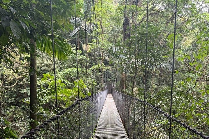 La Fortuna Waterfall & Hanging Bridges Combo — Mistico Rainforest Hike photo 6