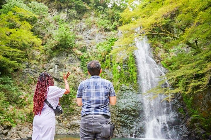 Minoh Waterfall Hike & Ryuanji Temple Walking Tour — Day Trip from Osaka