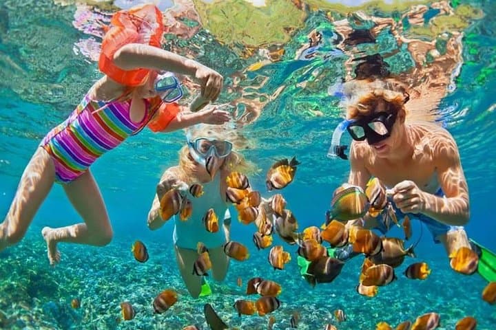 Phuket Coral and Racha Island Catamaran Day Trip: Snorkel, Dive & Sunset BBQ photo 4