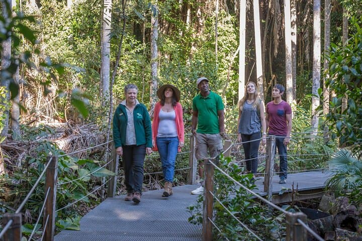 Sea Acres Rainforest Boardwalk: Guided Coastal Rainforest Walk Near Port Macquarie