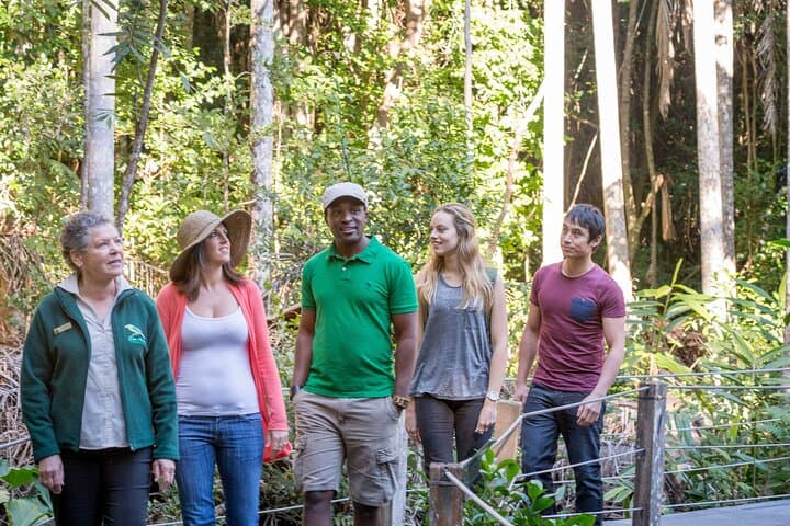 Sea Acres Rainforest Boardwalk: Guided Coastal Rainforest Walk Near Port Macquarie photo 5