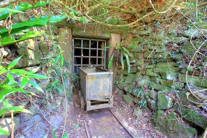 Copeland Tops Mountain Maid Gold Mine Tour: Rainforest Walk & Gold Panning