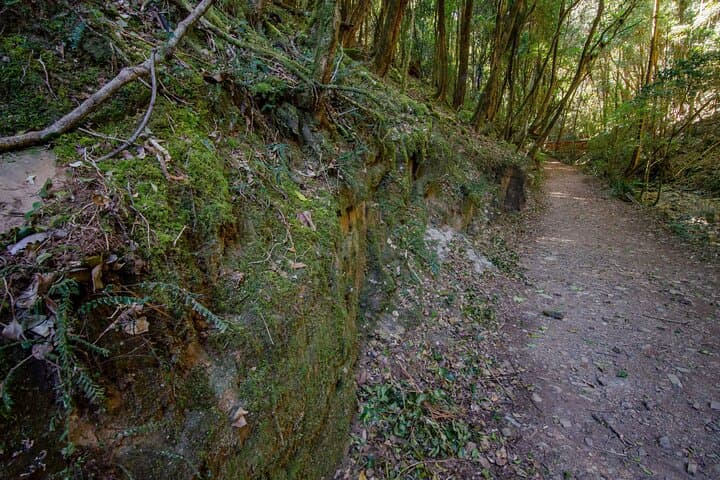 Copeland Tops Mountain Maid Gold Mine Tour: Rainforest Walk & Gold Panning photo 2