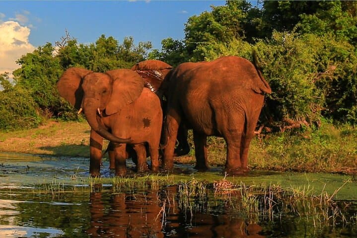 3-Day Tala, Drakensberg & Sani Pass Adventure from Durban