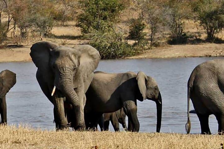 3-Day Tala, Drakensberg & Sani Pass Adventure from Durban photo 3