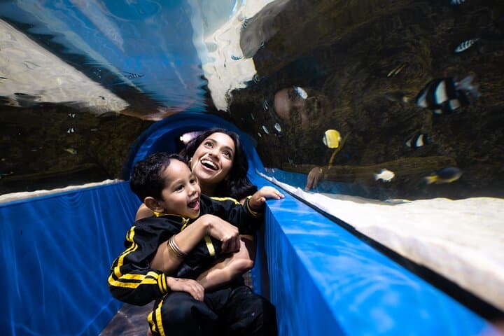 Explore Odysseo Oceanarium Mauritius: Port Louis Aquarium Tickets & Visitor Guide photo 2