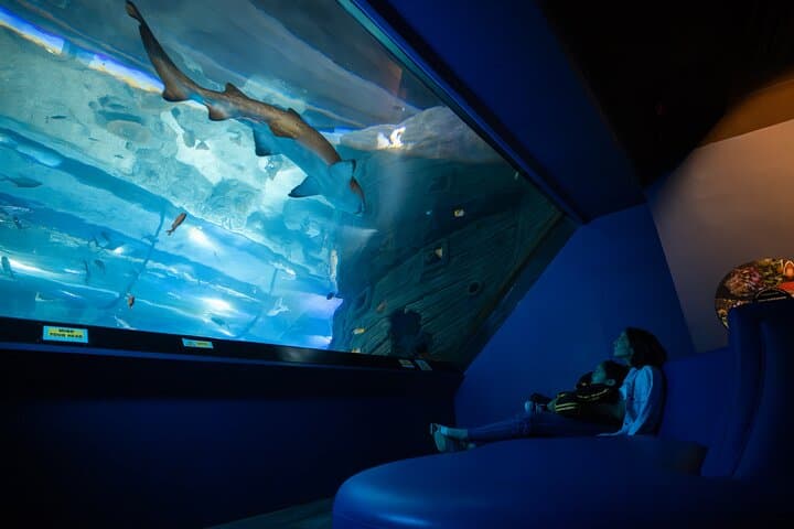 Explore Odysseo Oceanarium Mauritius: Port Louis Aquarium Tickets & Visitor Guide photo 5
