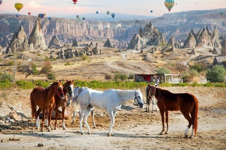 Cappadocia Horseback Riding at Sunrise & Sunset — Ride Through Fairy Chimneys photo 3