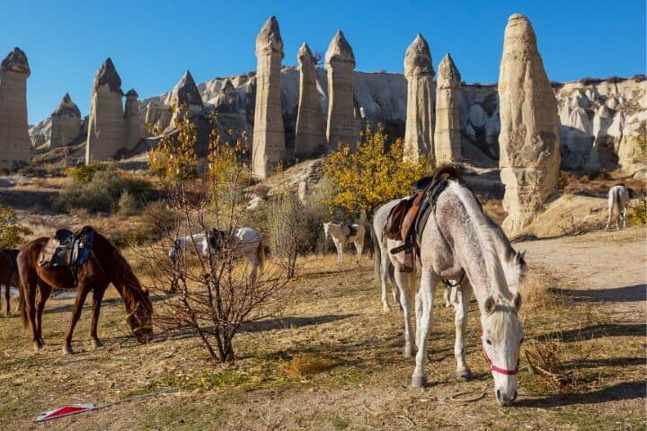 Cappadocia Horseback Riding at Sunrise & Sunset — Ride Through Fairy Chimneys photo 4