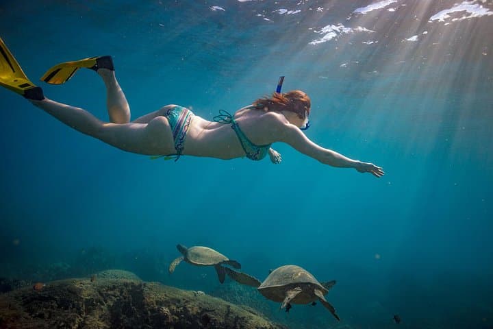 Daymaniyat Islands Snorkeling Adventure from Muscat — Half-Day Trip photo 2