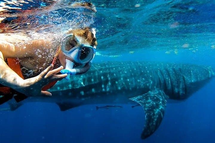 Daymaniyat Islands Snorkeling Adventure from Muscat — Half-Day Trip photo 3