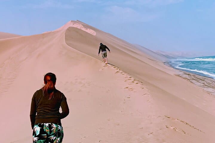 Sandwich Harbour and Pelican Point Full-Day Coastal Tour from Walvis Bay photo 1