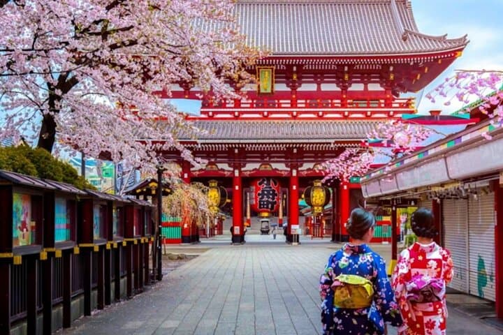 9-Day Best of Japan Cherry Blossom Tour — Tokyo, Kyoto & Osaka Highlights