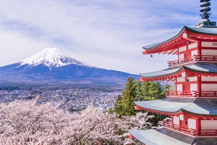 9-Day Best of Japan Cherry Blossom Tour — Tokyo, Kyoto & Osaka Highlights photo 4