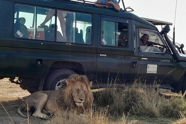 4-Day Private Masai Mara Safari: Luxury Lodges, 4x4 Game Drives & Cultural Visits photo 1