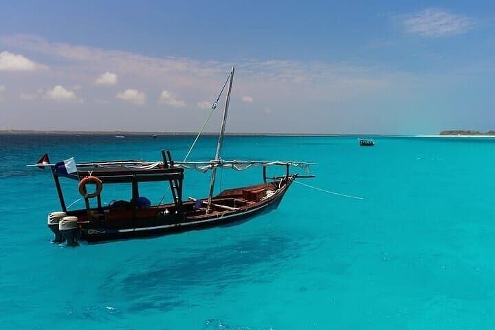 Safari Blue Dhow Cruise: Full-Day Zanzibar Snorkeling, Dolphin Watching & Kwale Island Lunch photo 5